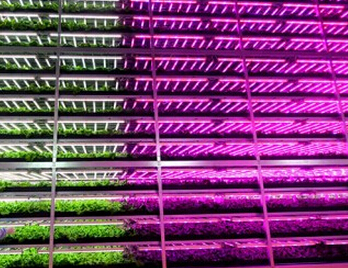 Maior fábrica de LED de iluminação da planta do mundo