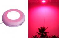 Qual é a função de LED Grow Lights